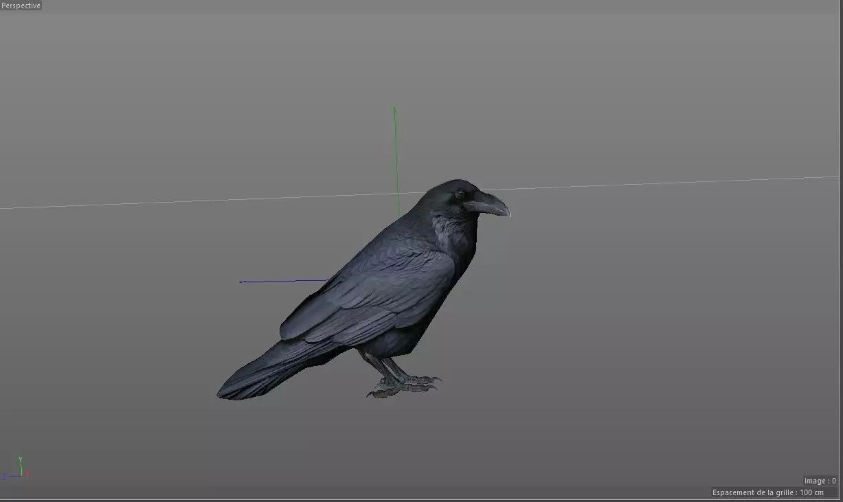 Crow Corbeau Free 3D model_0