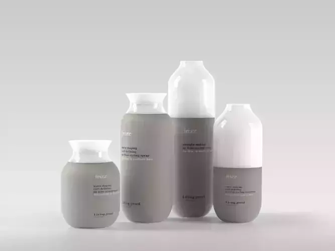 No Frizz Set of Hair Products 3D model