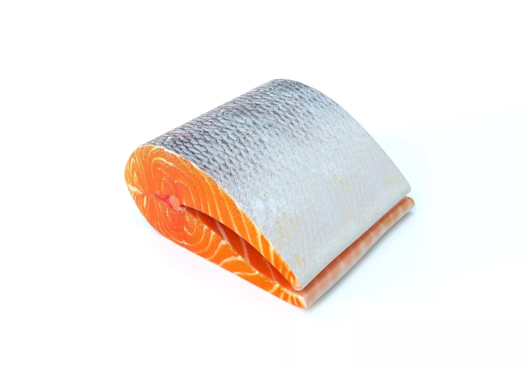Fish Cut Piece 3D model