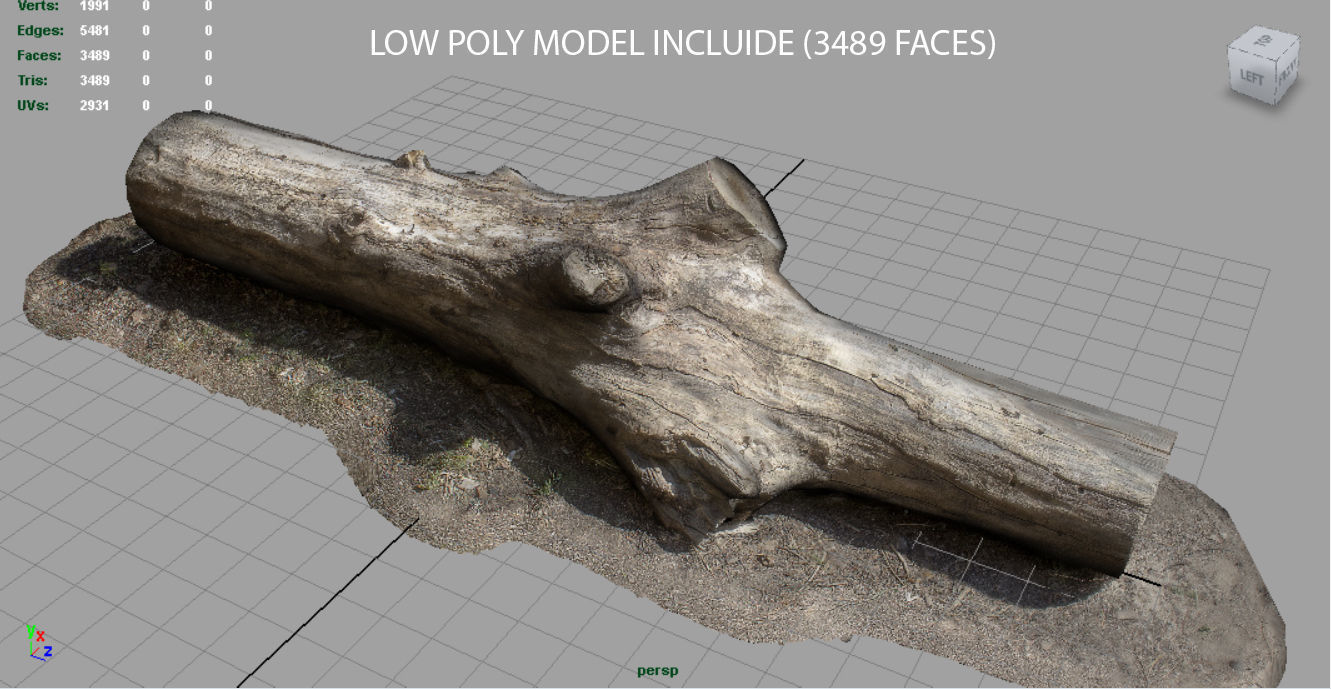 Dead trunk 3 Low-poly 3D model_11