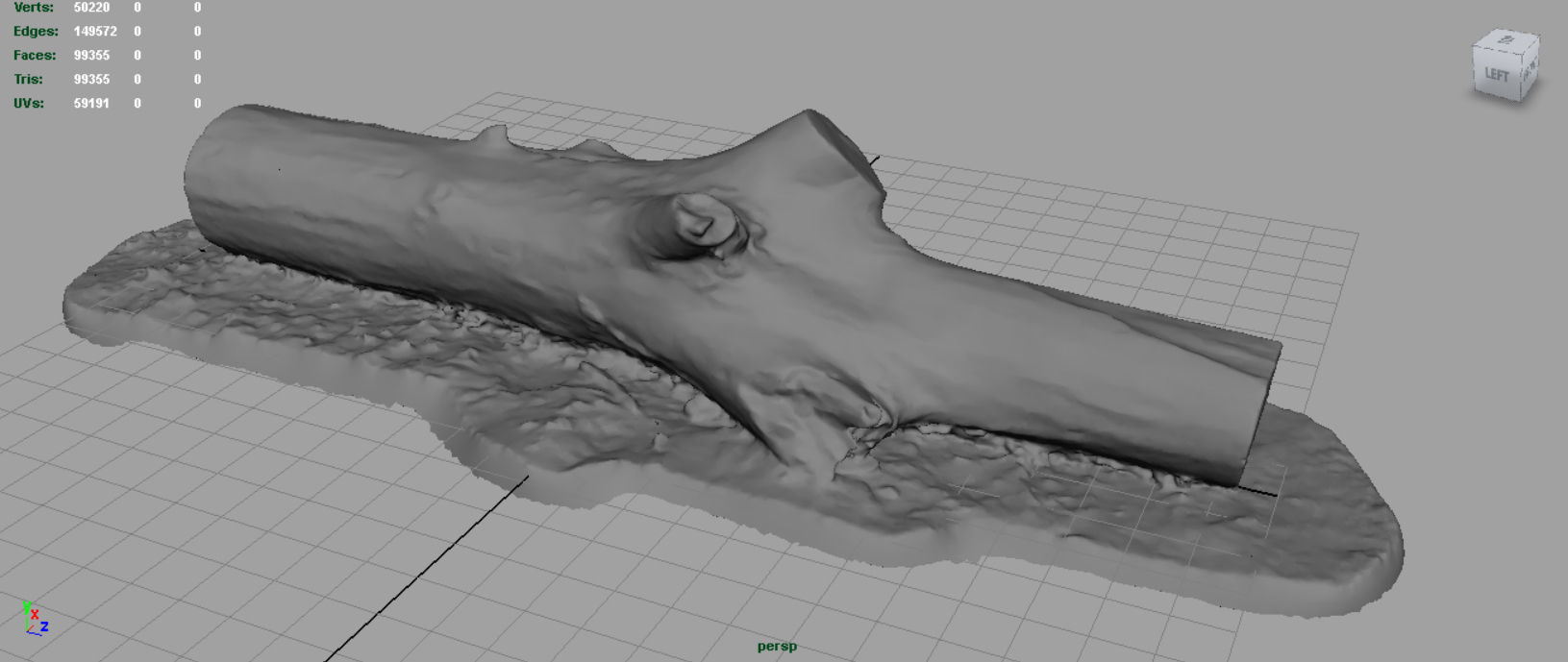 Dead trunk 3 Low-poly 3D model_1