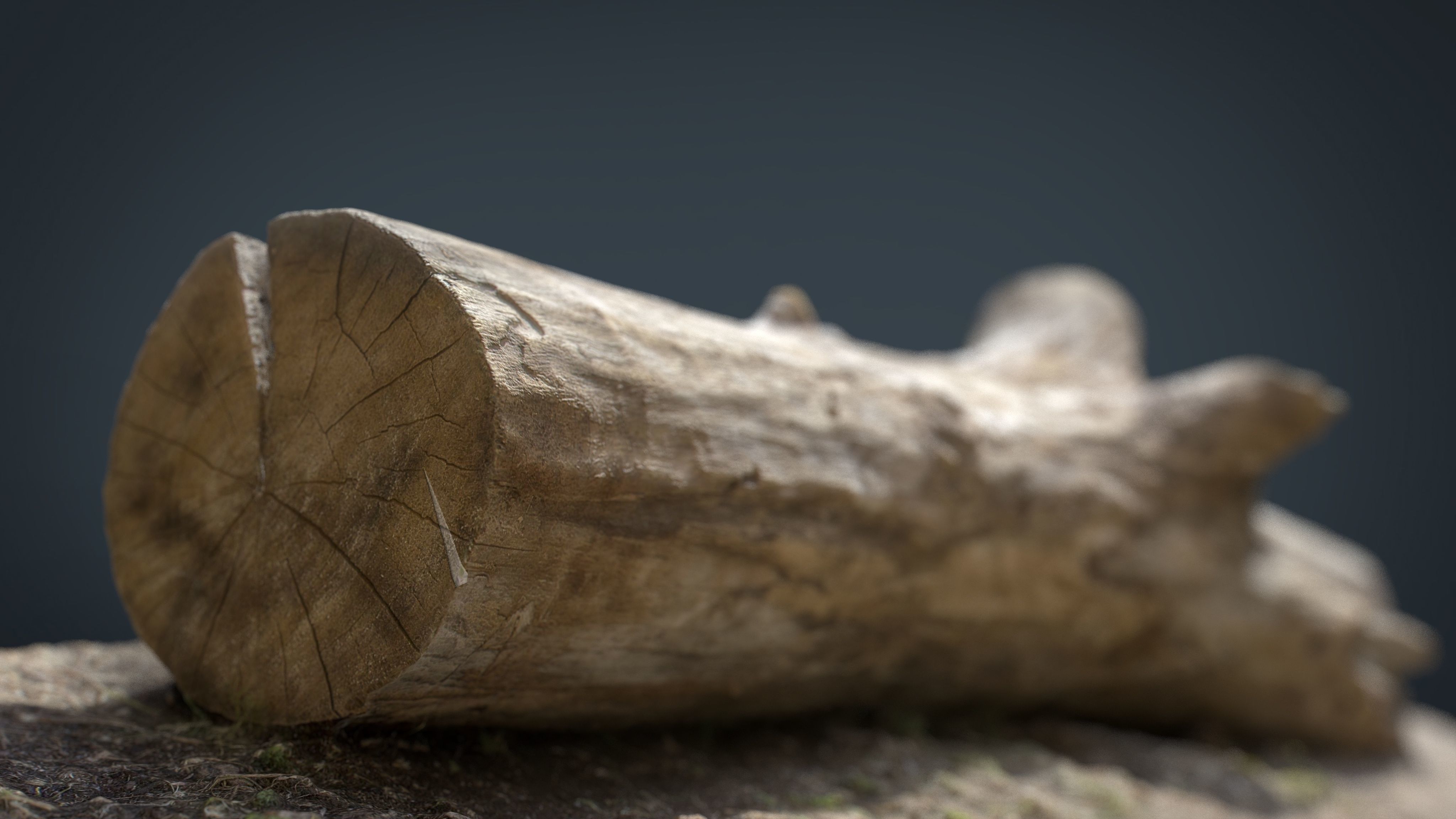 Dead trunk 3 Low-poly 3D model_3