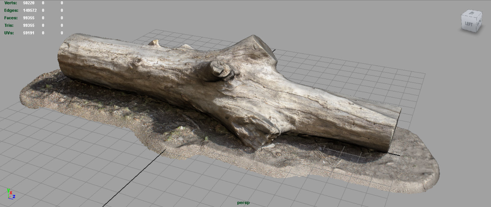 Dead trunk 3 Low-poly 3D model_2