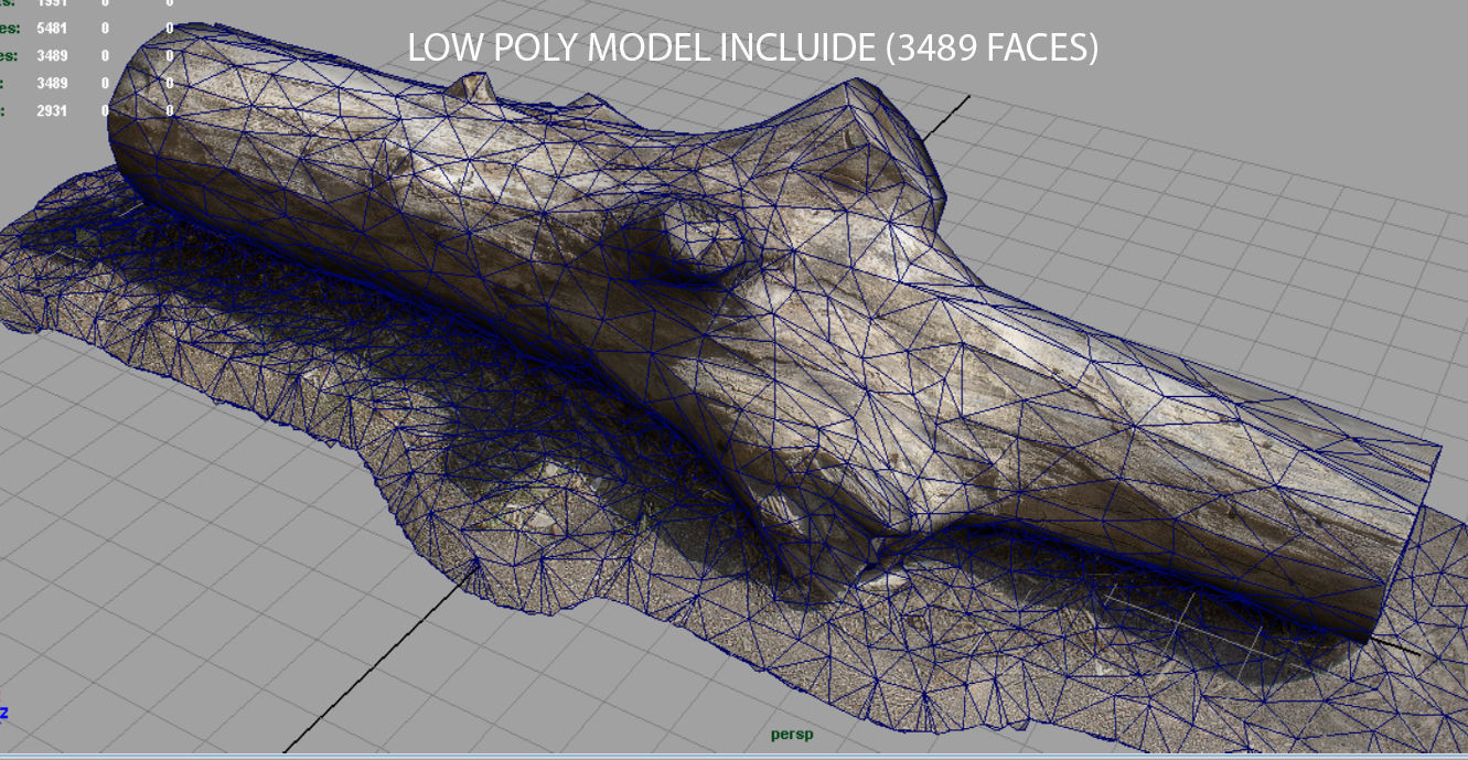 Dead trunk 3 Low-poly 3D model_9