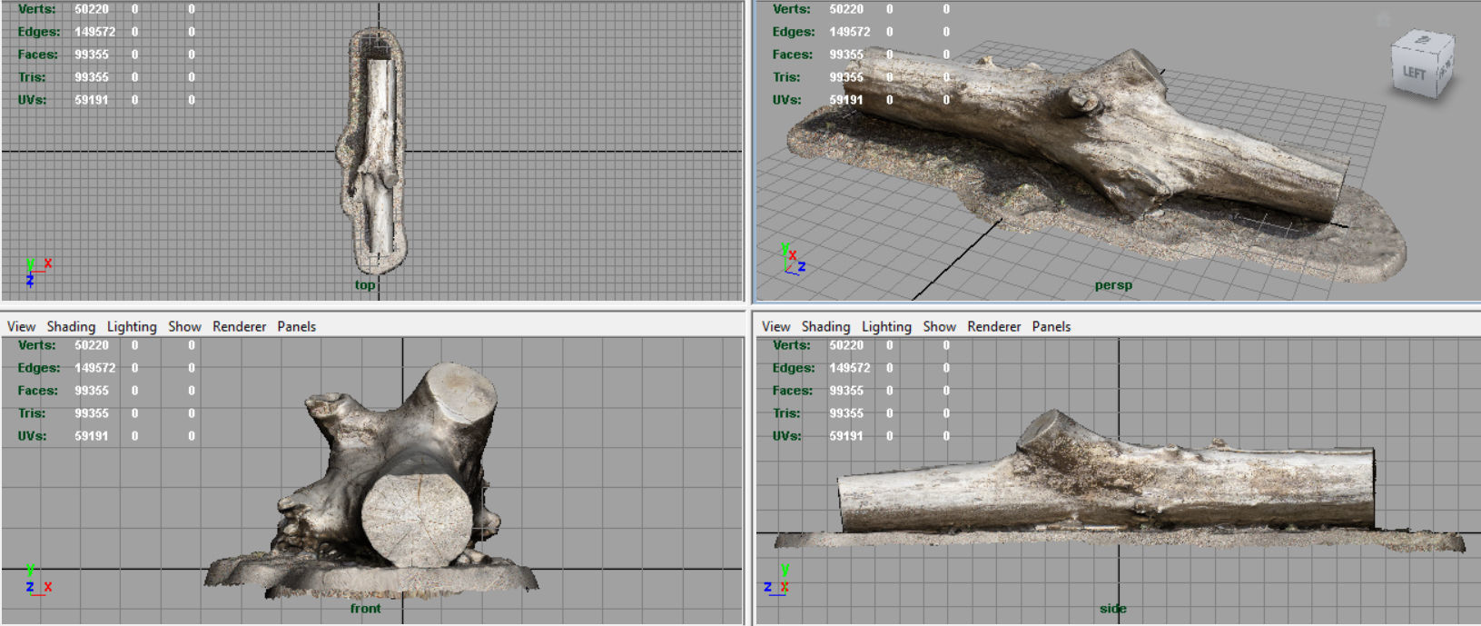 Dead trunk 3 Low-poly 3D model_5