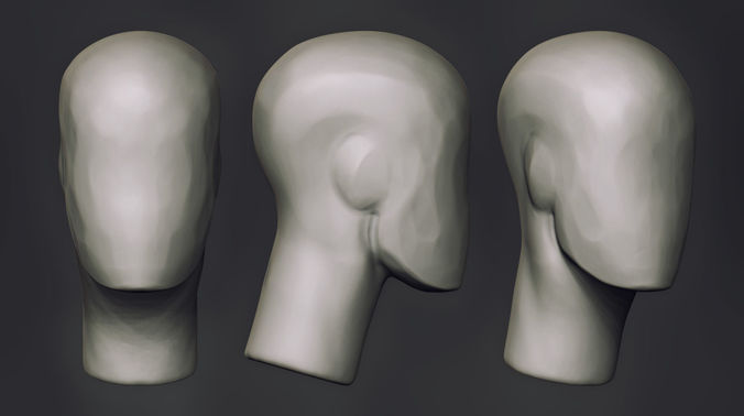 FREE Head Sketch BaseMesh Free 3D model