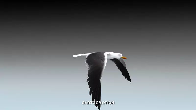 Seagull - Animated Low-poly 3D model