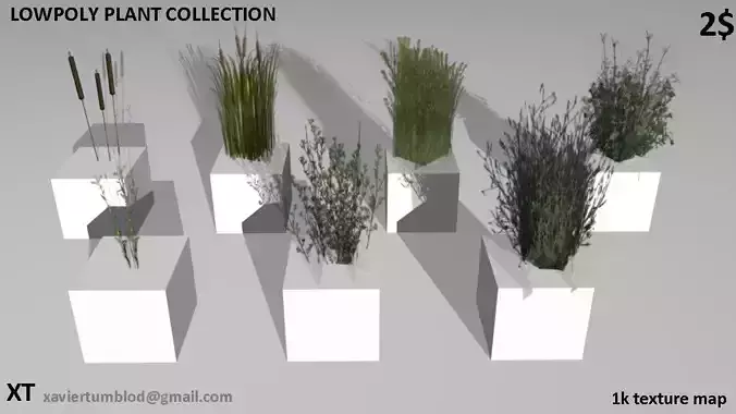 Low poly plants and grass Low-poly 3D model