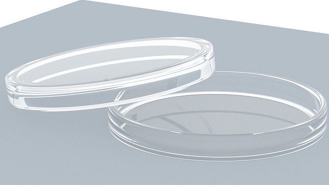 Petri Dish 3D model