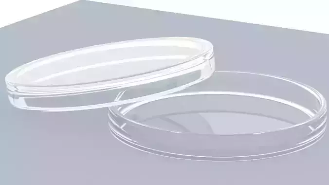 Petri Dish 3D model