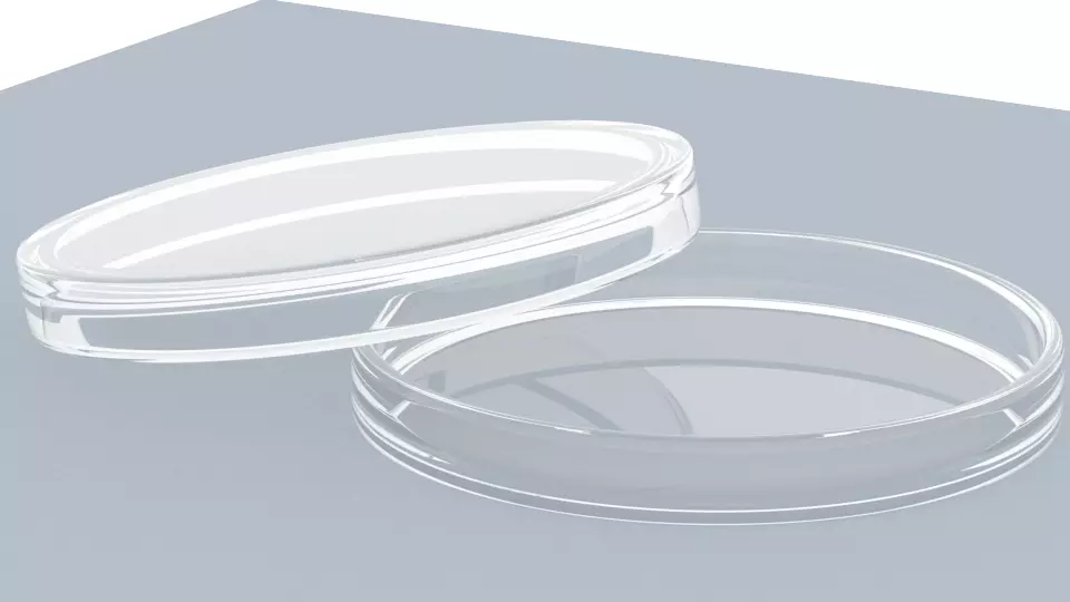 Petri Dish 3D model