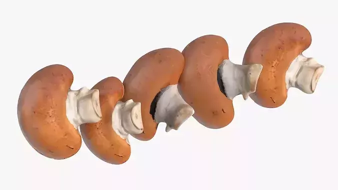 Brown Champignon Halves 3D model 6