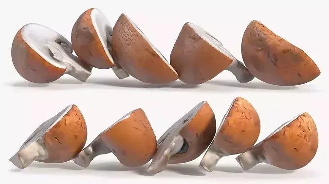 Brown Champignon Halves 3D model 5