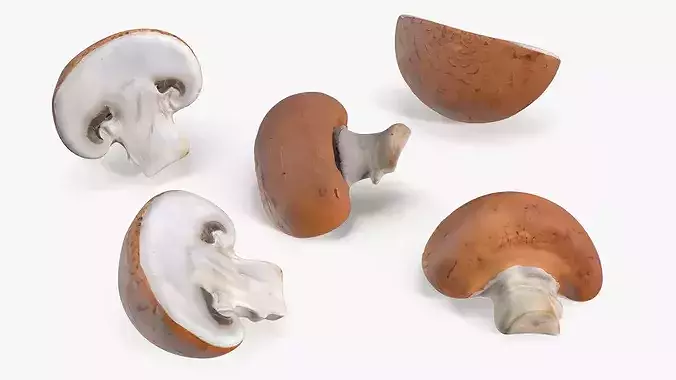 Brown Champignon Halves 3D model 7