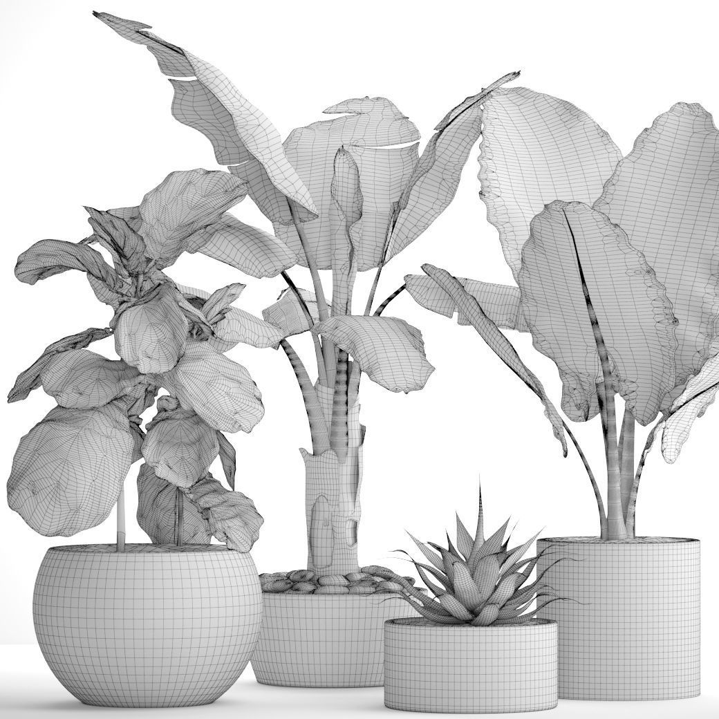 Collection plants three in pots 3D model_5