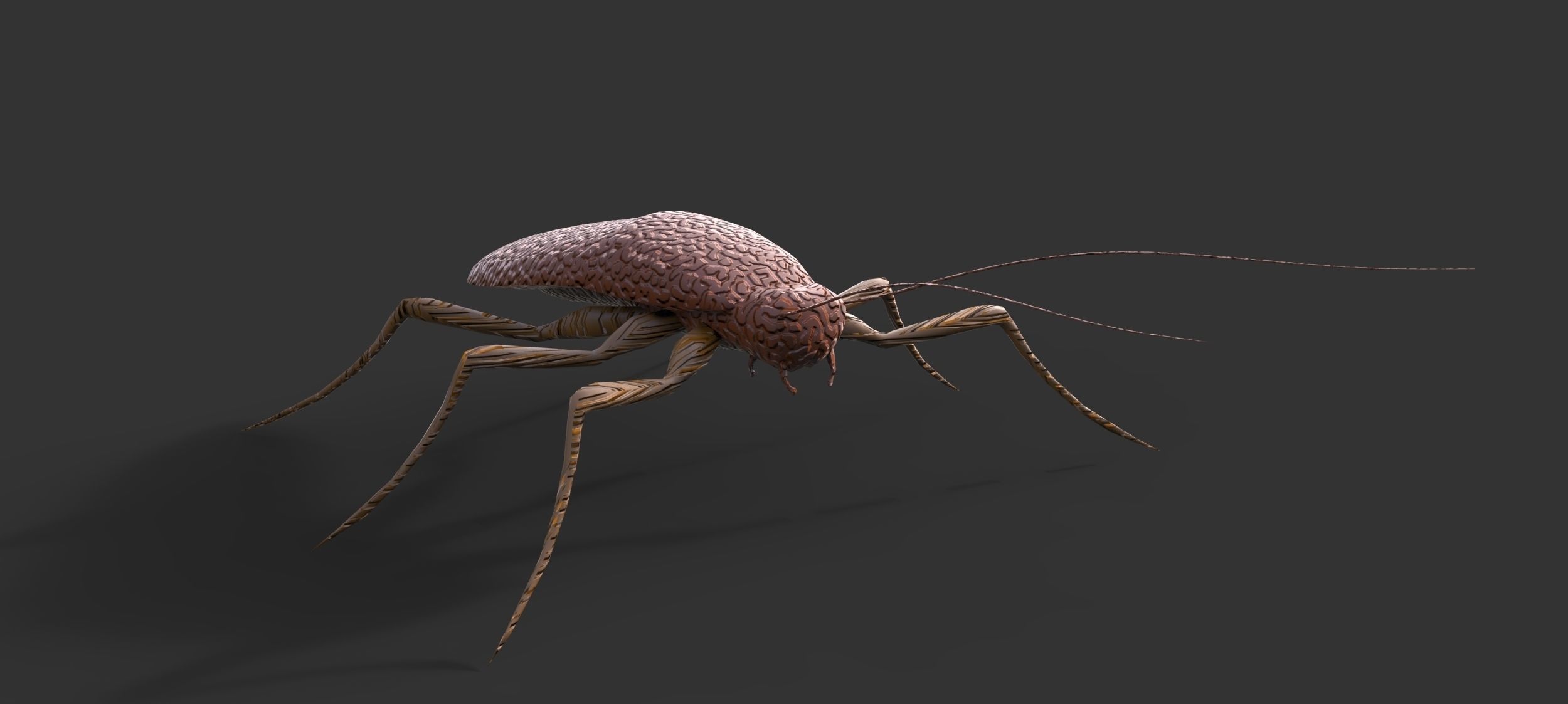 3D model Roach | CGTrader