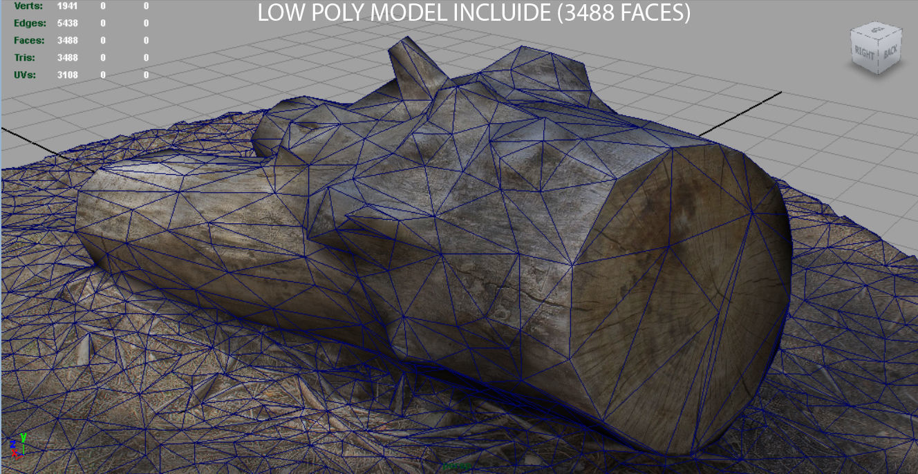 Dead trunk 4 Low-poly 3D model_15