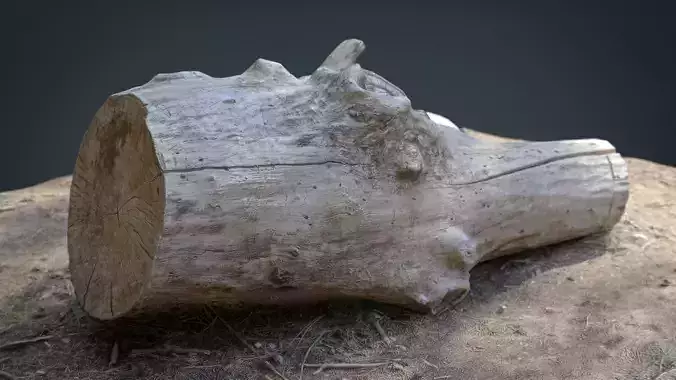 Dead trunk 4 Low-poly 3D model
