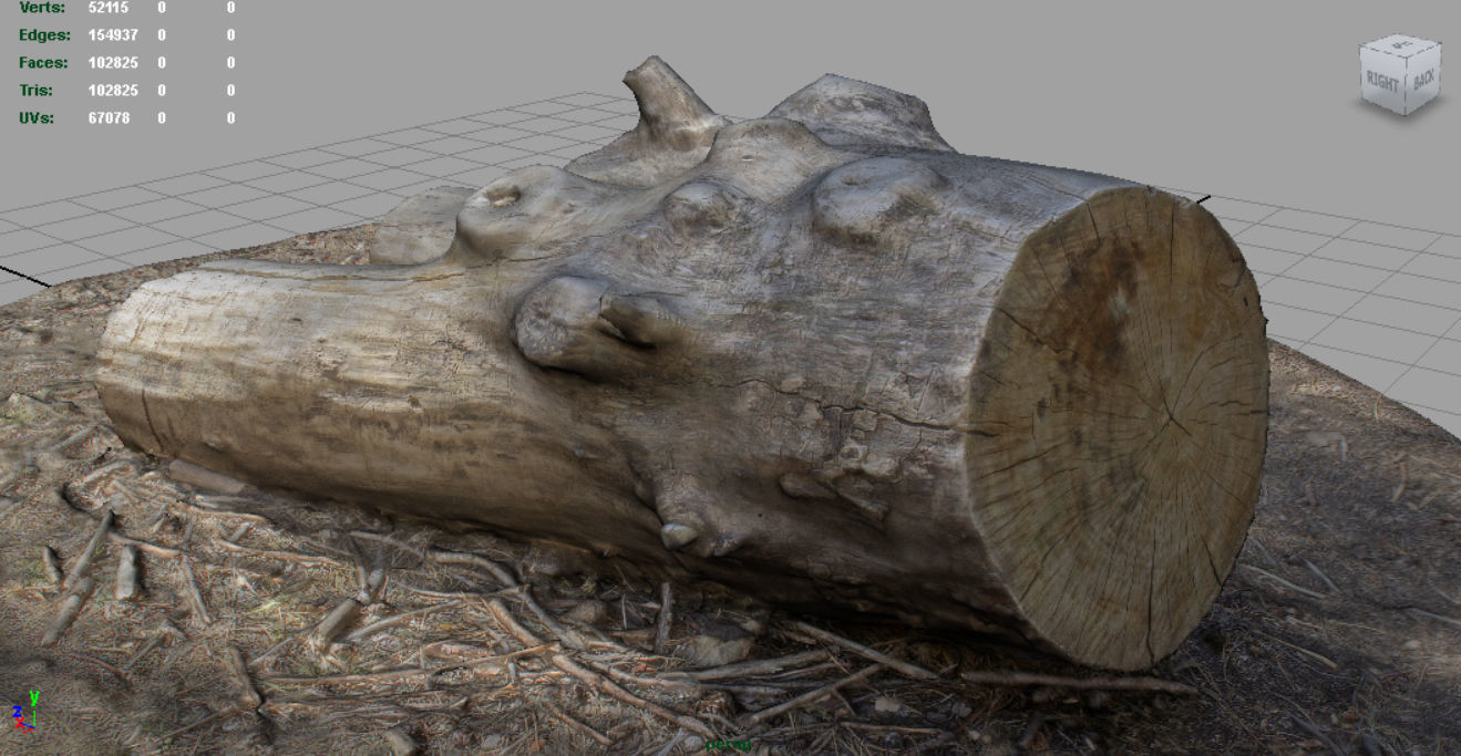 Dead trunk 4 Low-poly 3D model_2