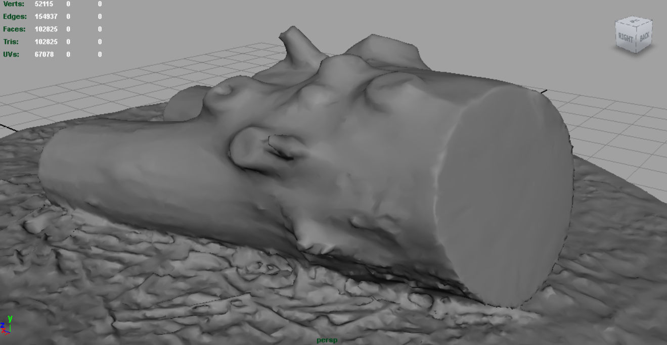 Dead trunk 4 Low-poly 3D model_3