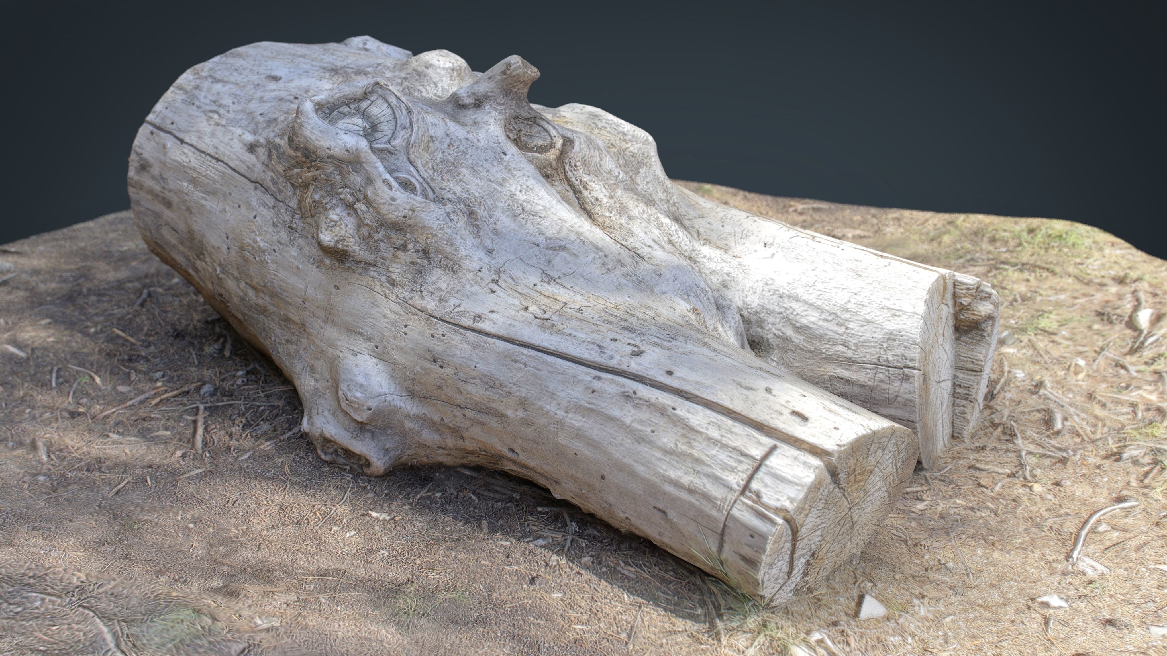 Dead trunk 4 Low-poly 3D model_8