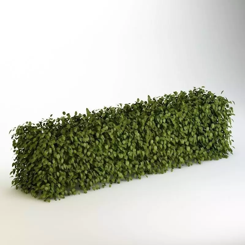 Bush 04 3D model_0
