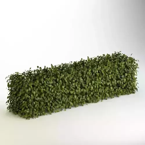 Bush 04 3D model