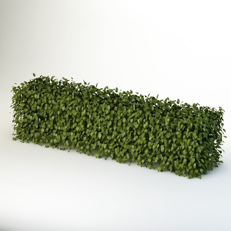 Bush 04 3D model_1