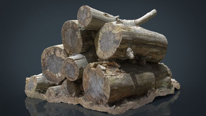 Wooden Logs Low-poly 3D model