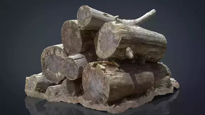 Wooden Logs Low-poly 3D model