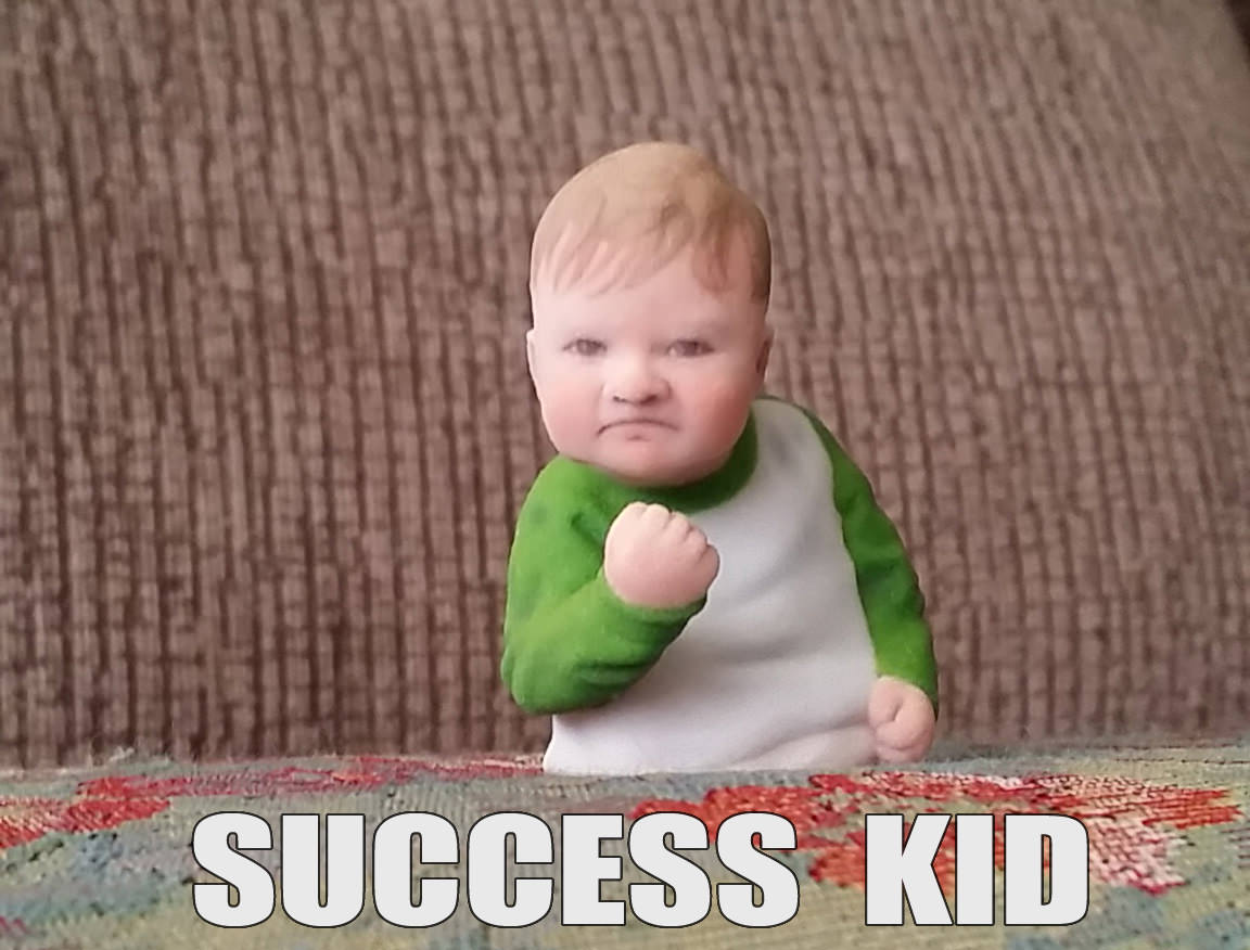 Success Kid meme 3d print 3D print model_2