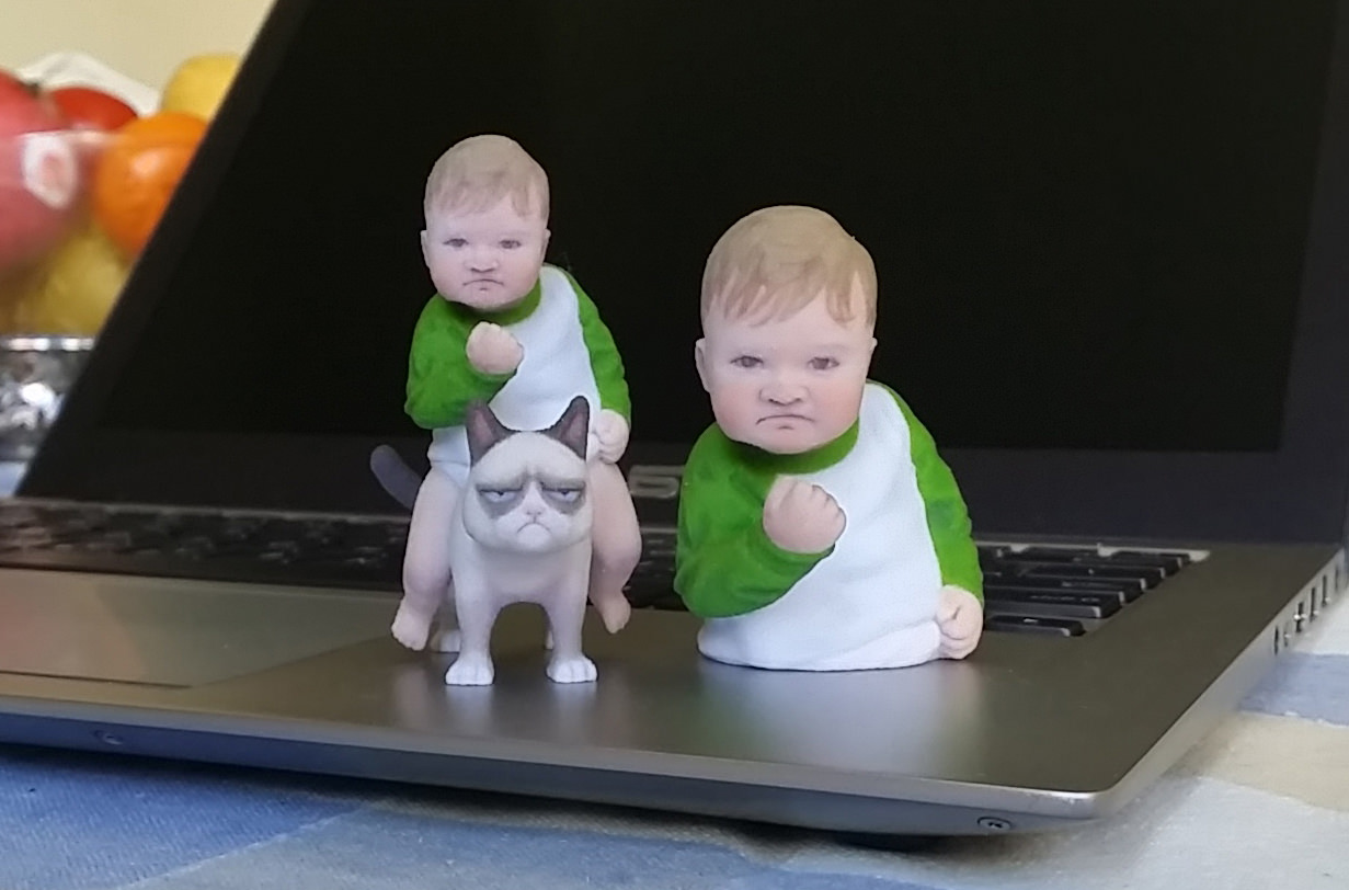Success Kid meme 3d print 3D print model_1