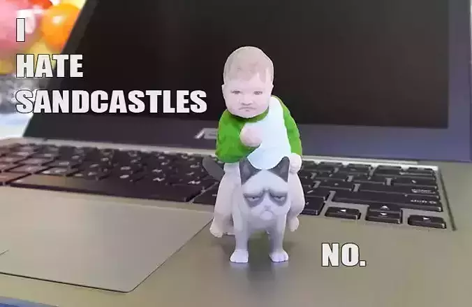 Success Kid on Grumpy Cat 3D print Meme 3D print model