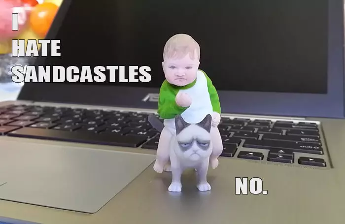 Success Kid on Grumpy Cat 3D print Meme 3D print model_0