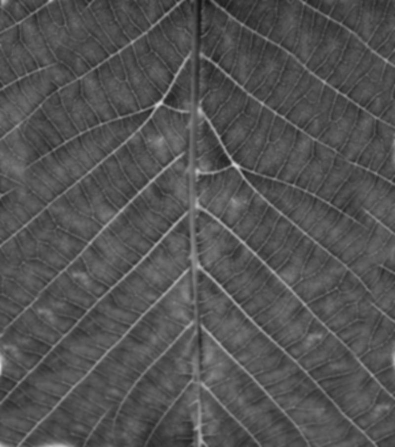 Set Decor 01 - DITIM 3D model_2