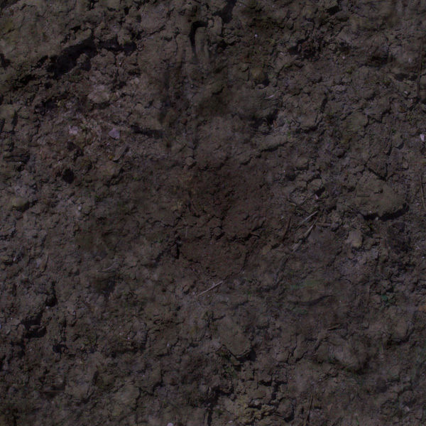 Set Decor 01 - DITIM 3D model_3