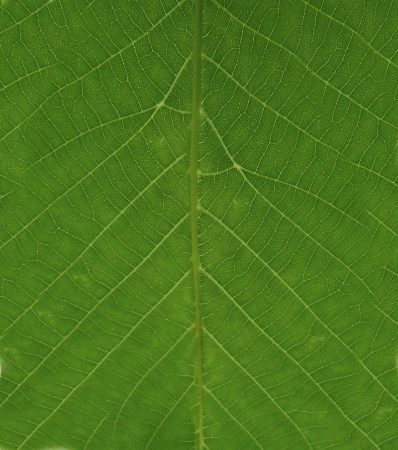 Set Decor 01 - DITIM 3D model_4