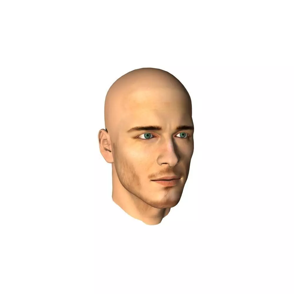 Human Man Head 3D model 3D model_0