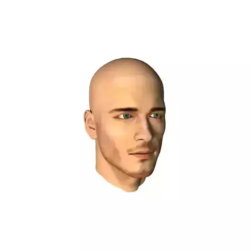 Human Man Head 3D model 3D model