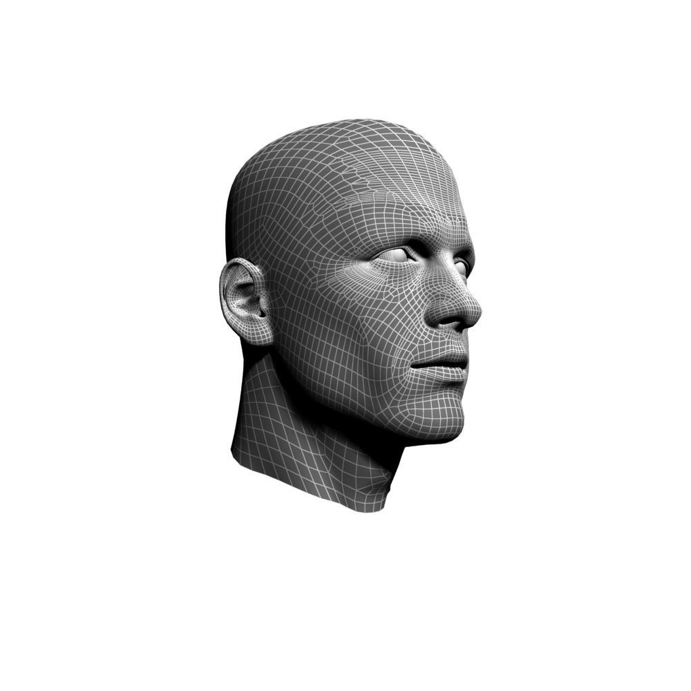 Human Man Head 3D model 3D model_7
