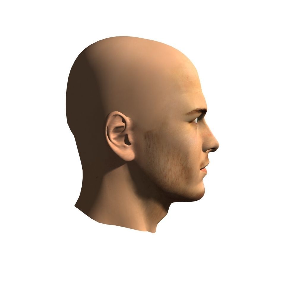 Human Man Head 3D model 3D model_1