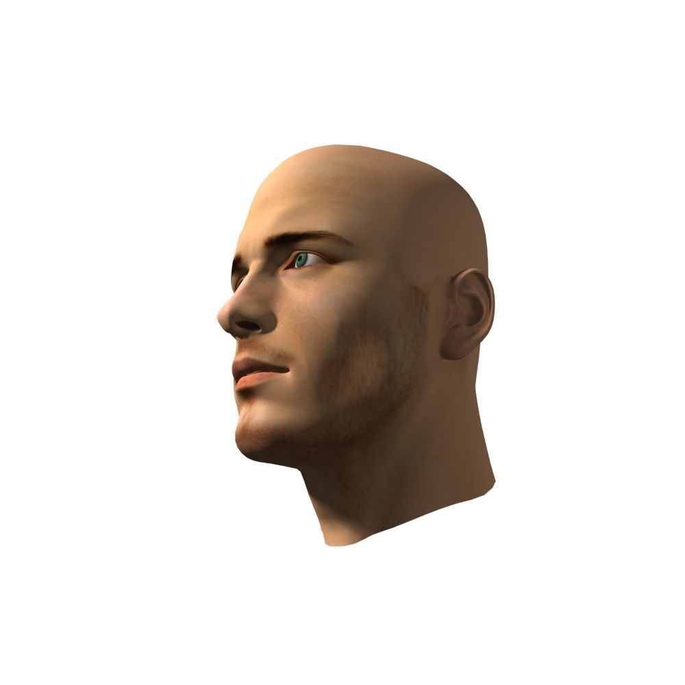 Human Man Head 3D model 3D model_5