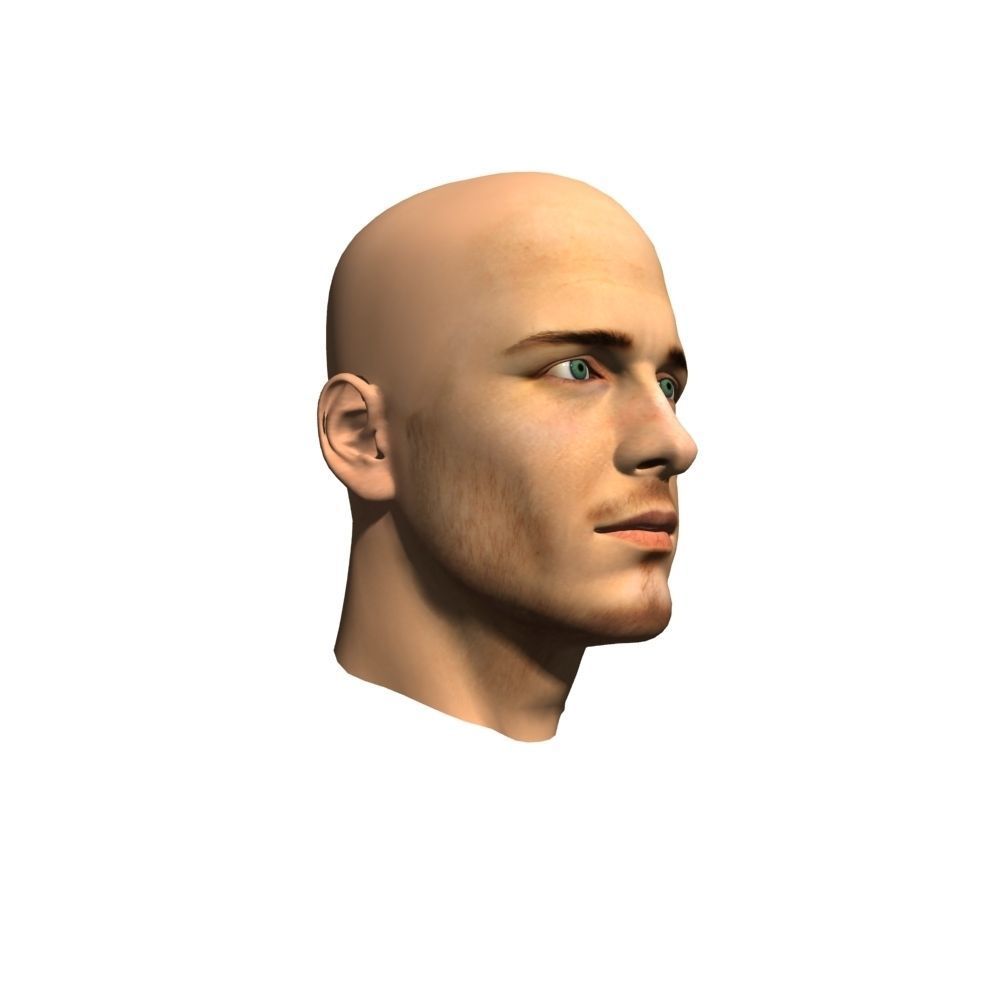Human Man Head 3D model 3D model_2