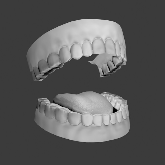 Mouth set of teeth Low-poly 3D model_2