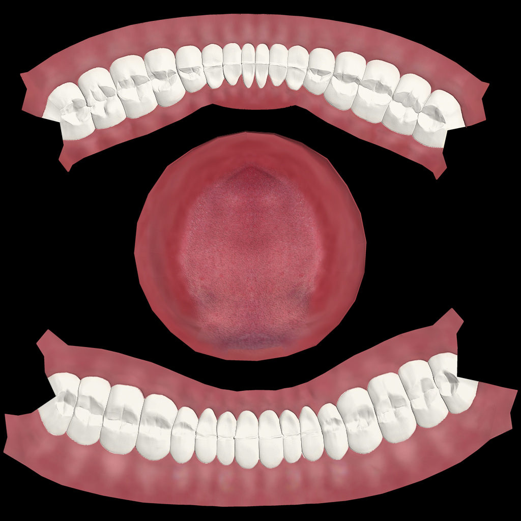 Mouth set of teeth Low-poly 3D model_3