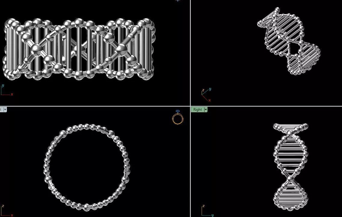 DNA double helix ring 3d model 3D print model