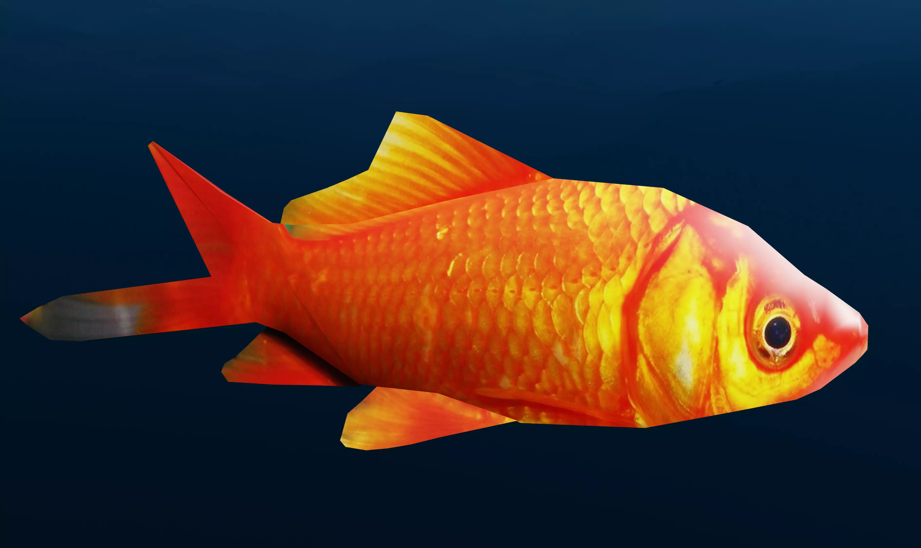 Low Poly Goldfish 3D Model Rigged and Animated Ready Low-poly 3D model