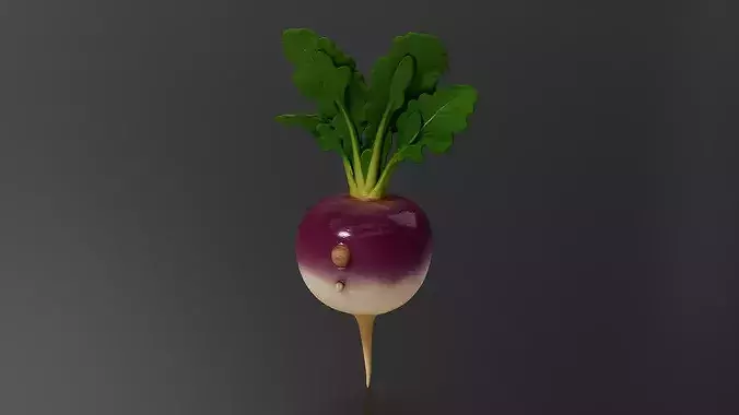 turnip 01 3D print model 4