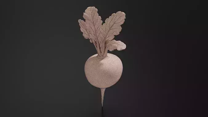 turnip 01 3D print model 7