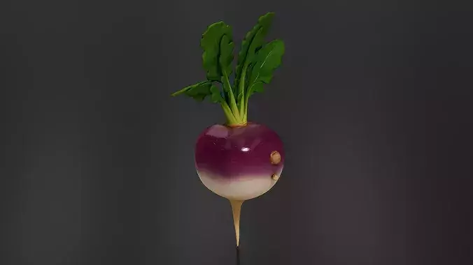 turnip 01 3D print model 3